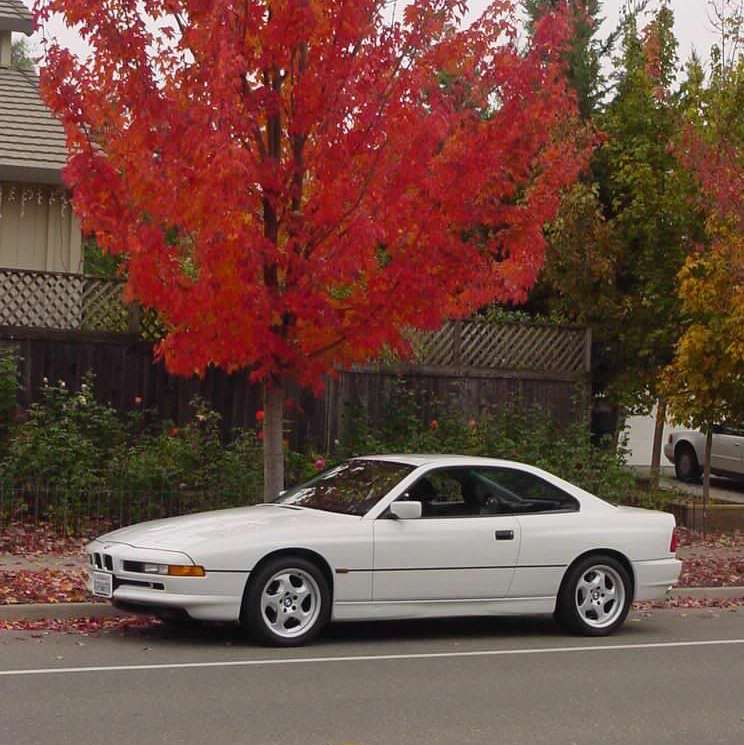 Profile of Arthur Cortez