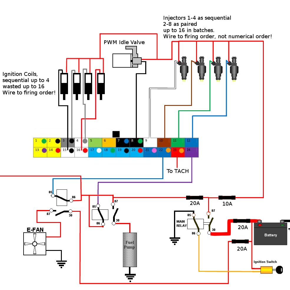Profile of Noam Halcott