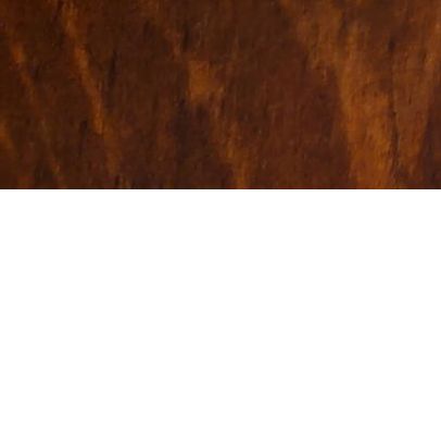 Profile of Gilbert Xiong