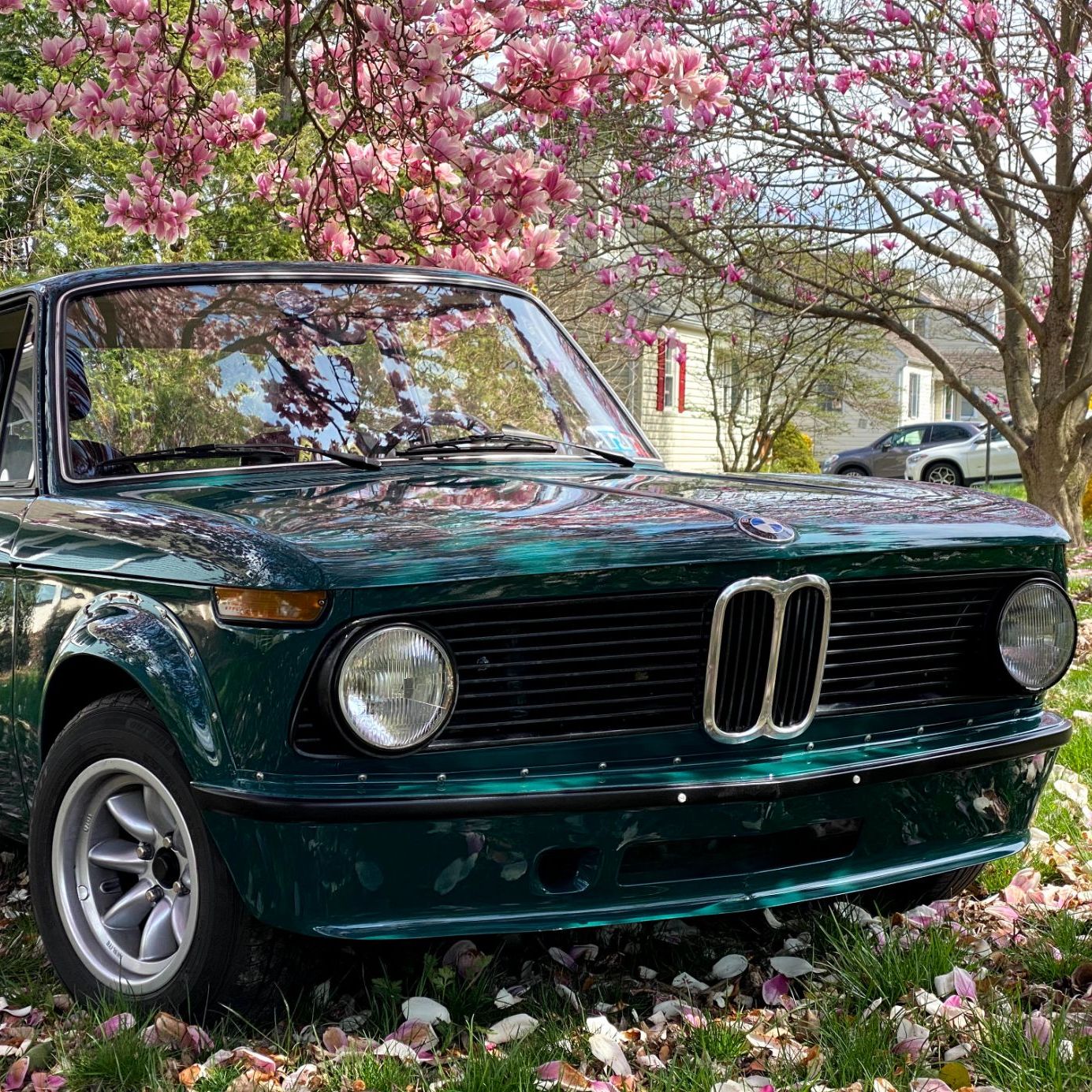 Profile of Trip Flail