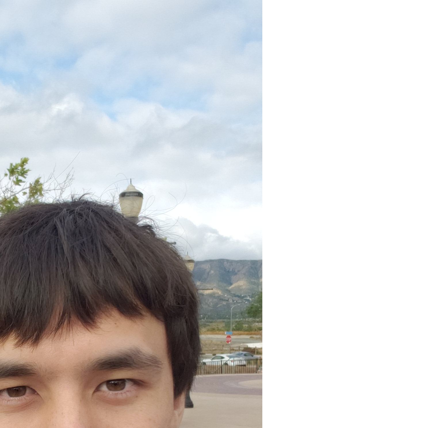 Profile of Sean Depolo