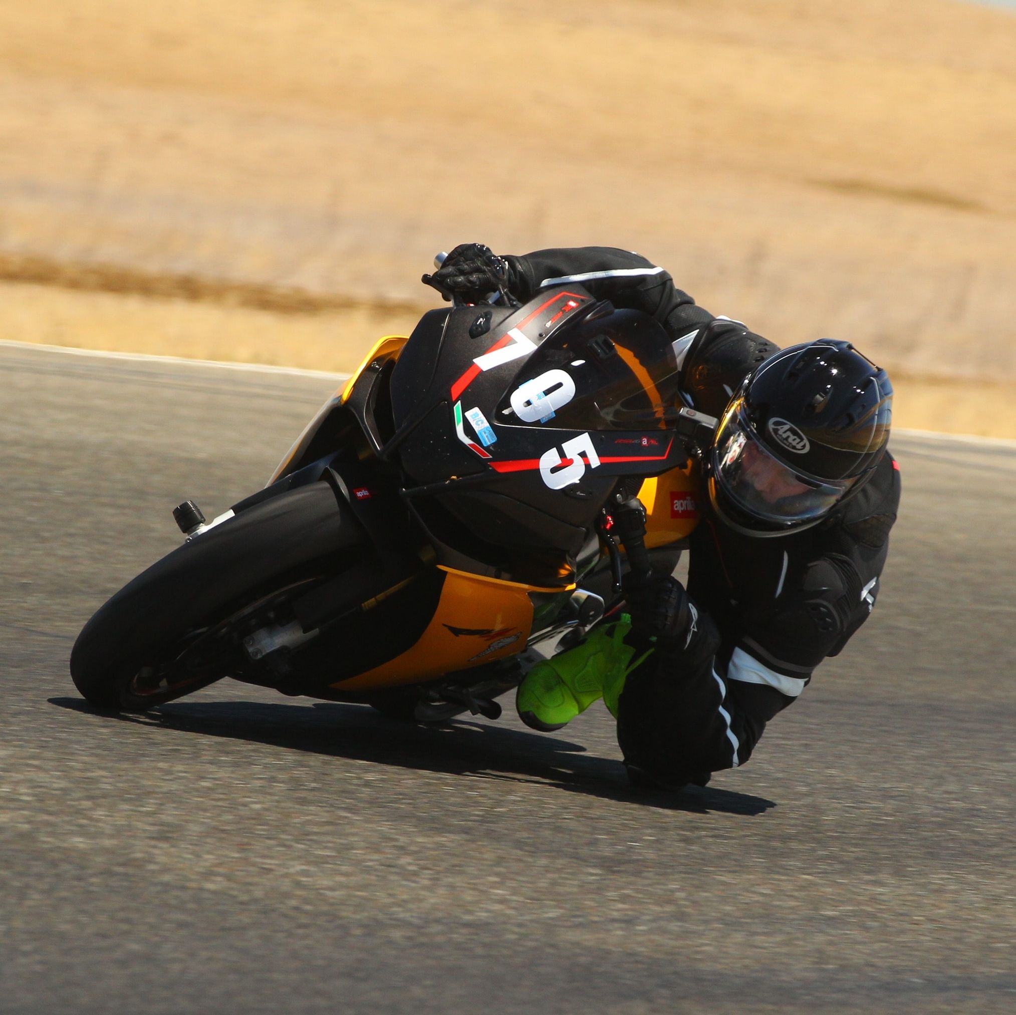 Profile of Loki King