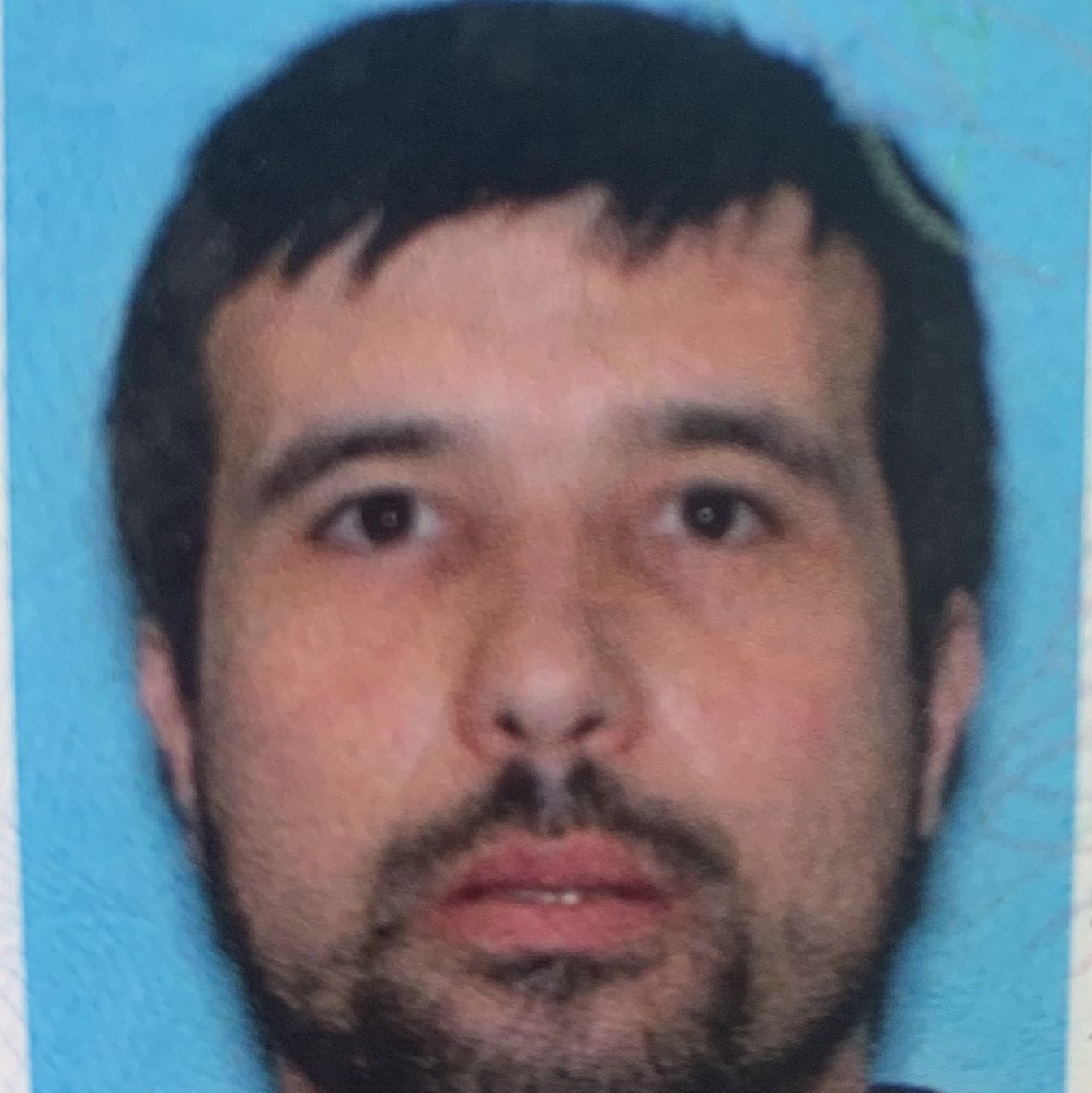 Profile of Daniel Silva