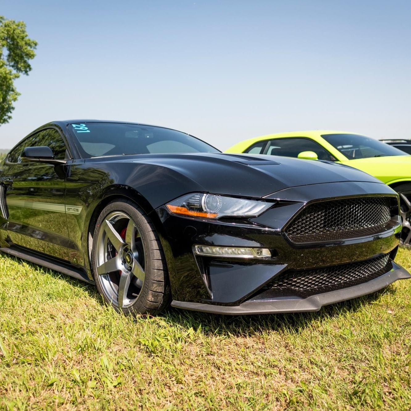 Profile of Danny Sanders