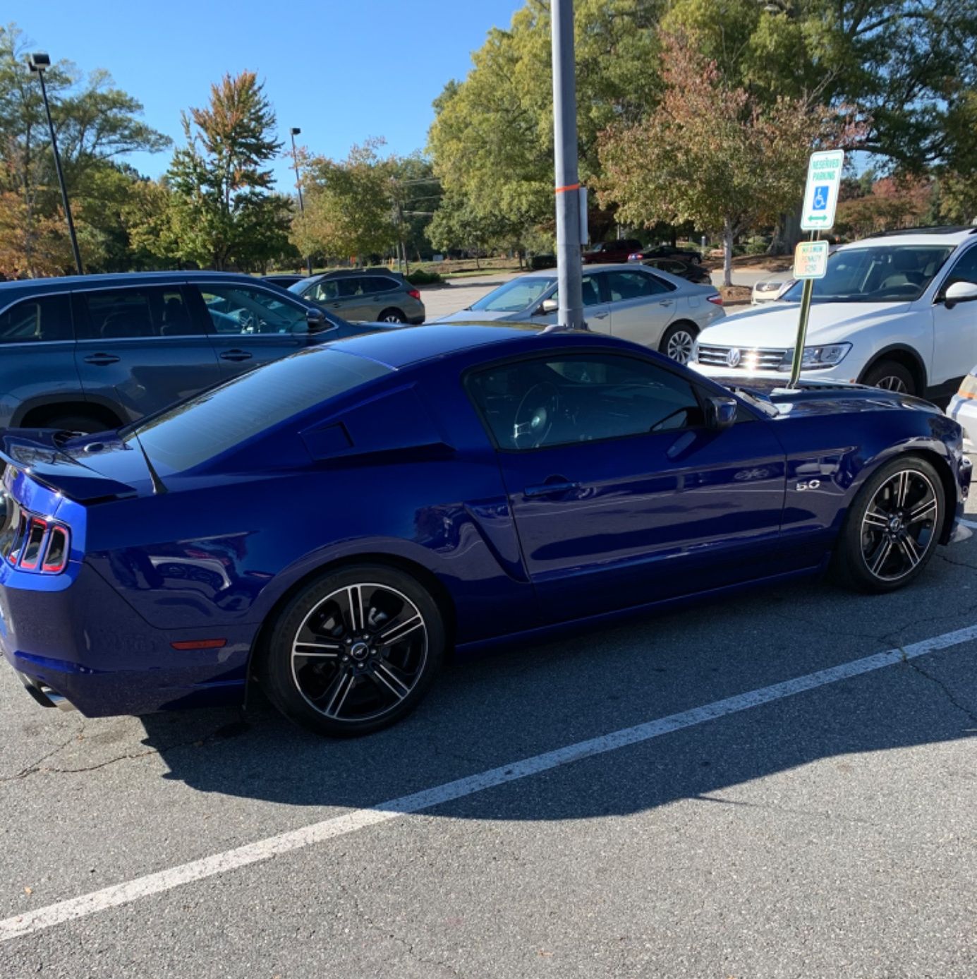 Profile of Allen Hecht