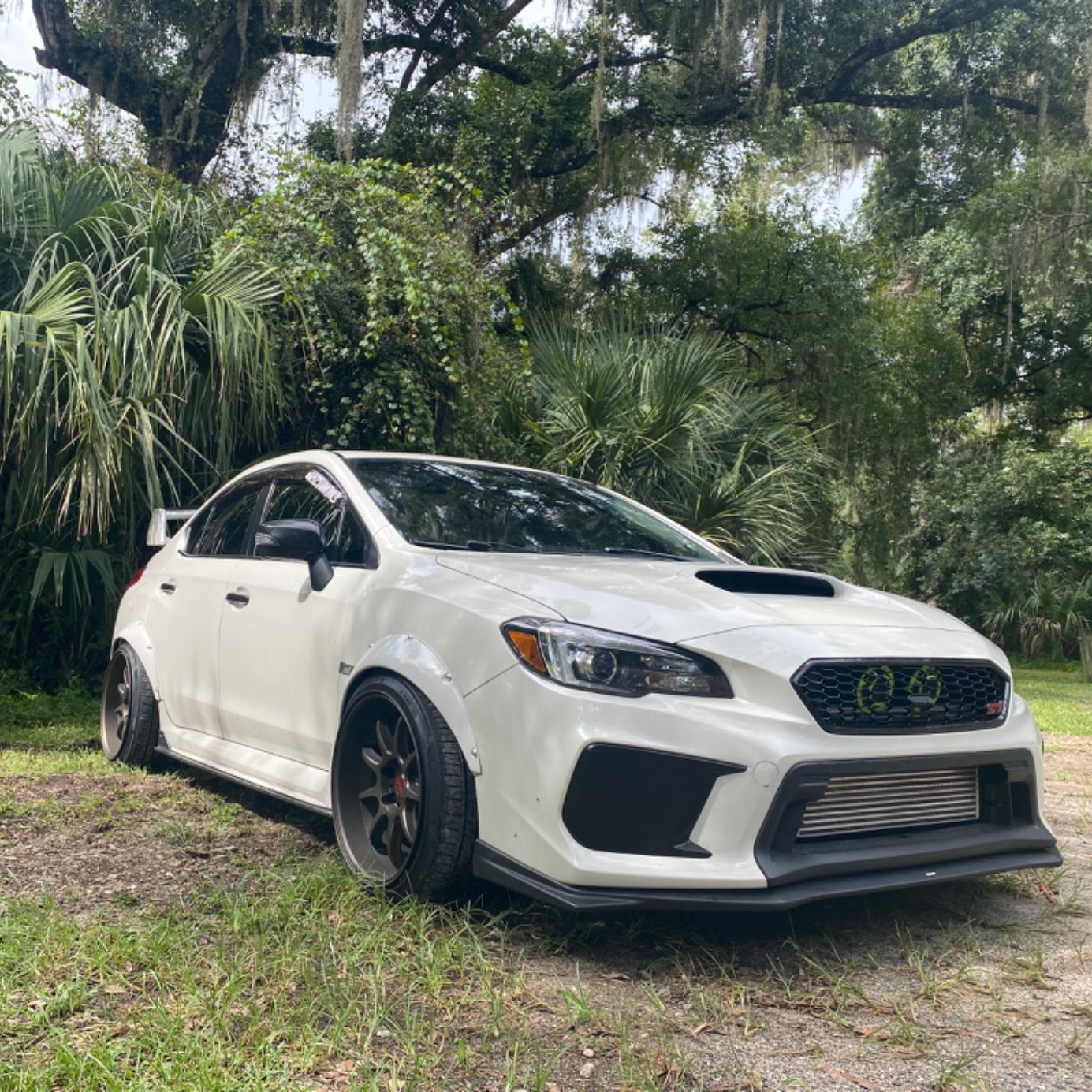 Profile of George Baque