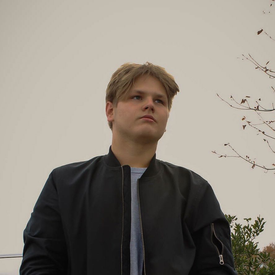 Profile of Vladimir Palchikov