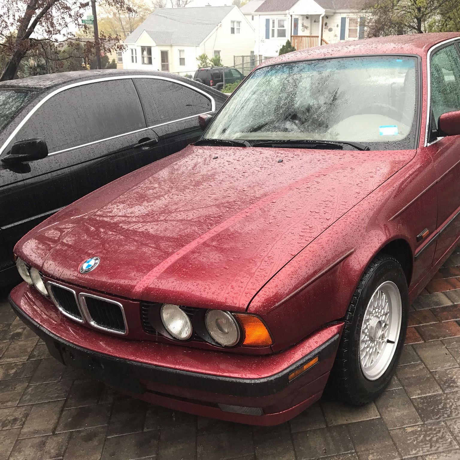 Profile of Michal Kaczmarczyk