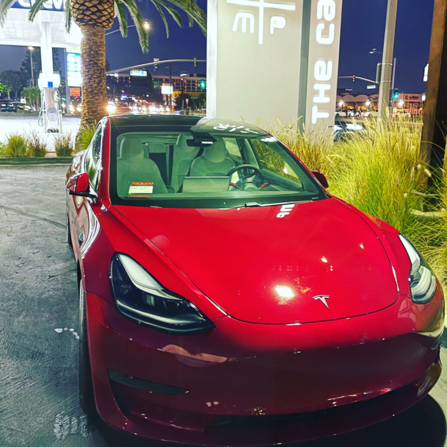 Profile of Dan Ghazarian