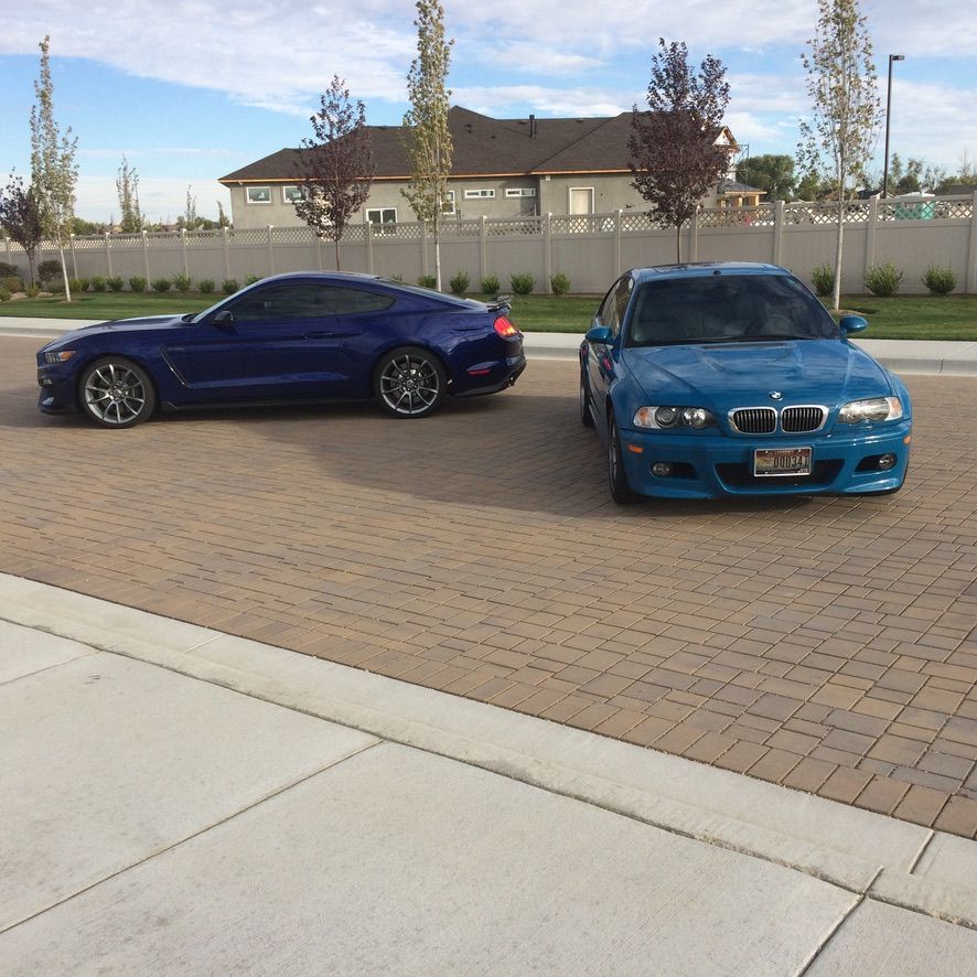 Profile of Bruce Altig