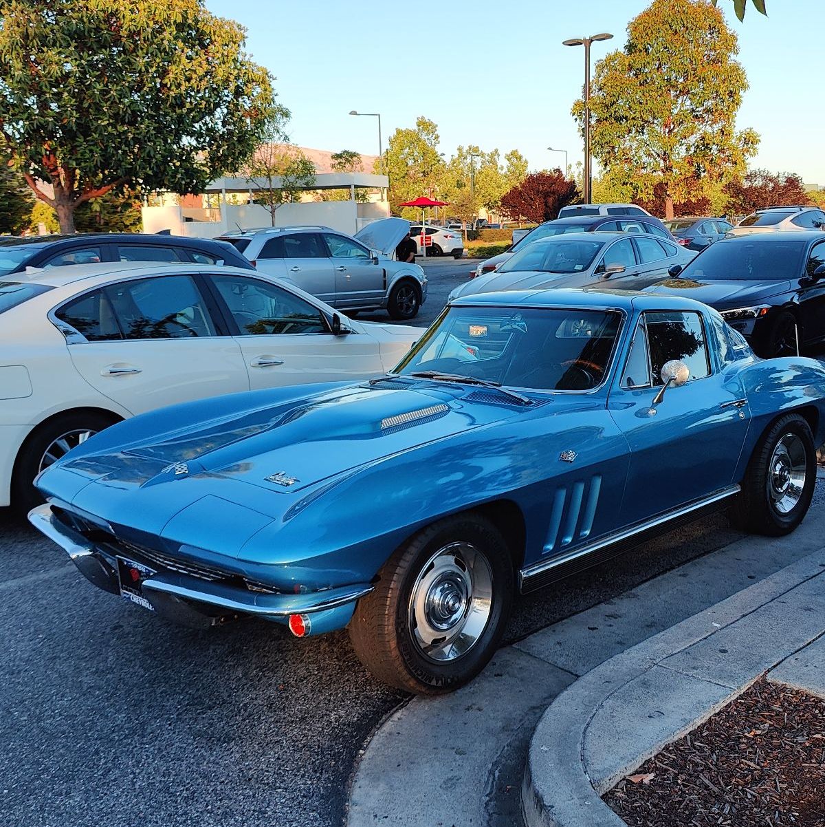 Profile of Irwin Yuen