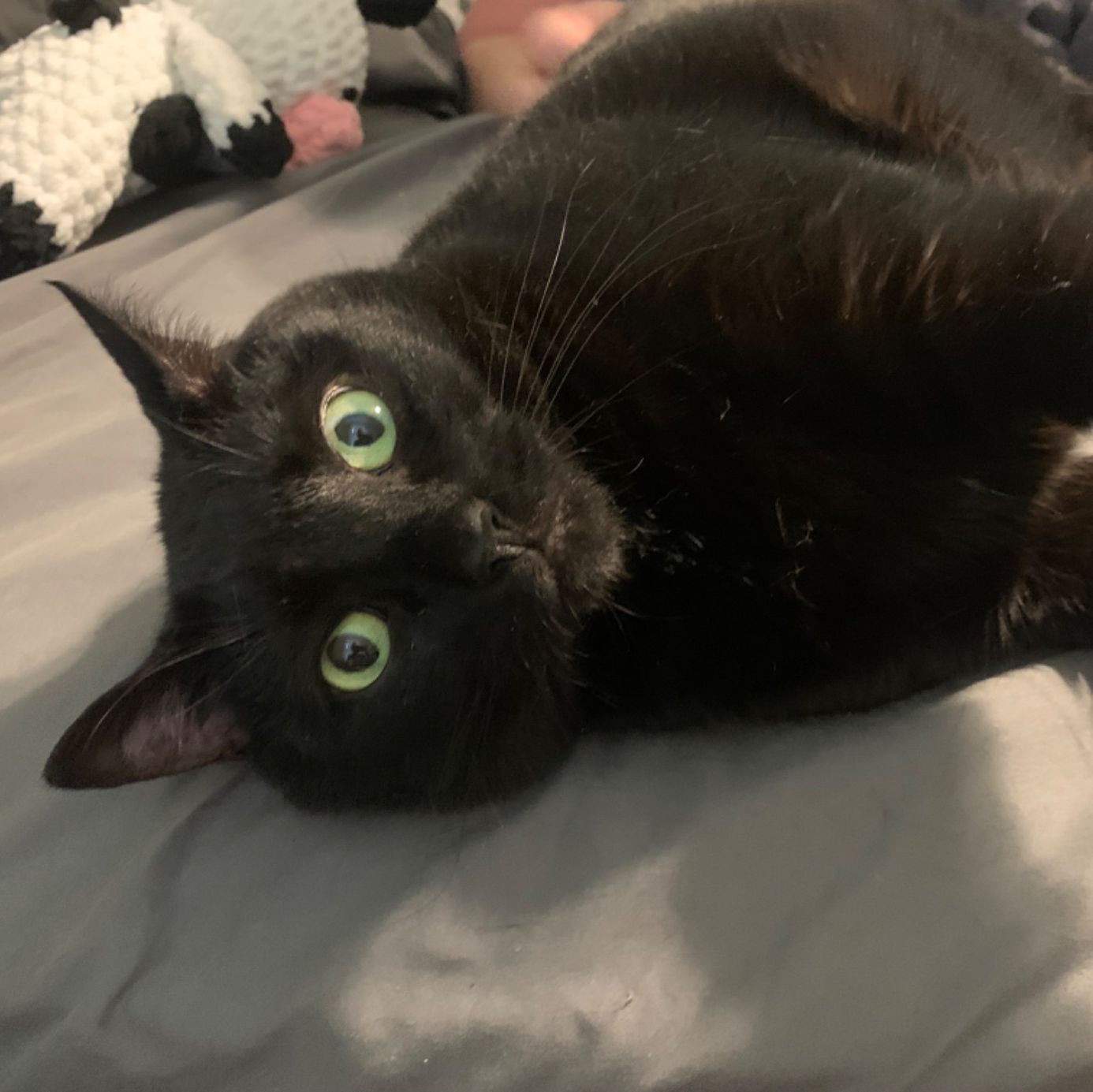 Profile of Shelby Anderson