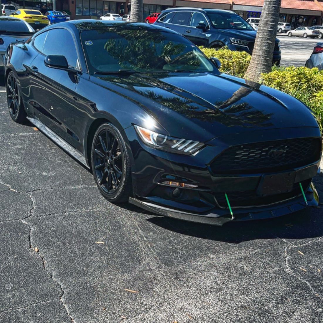 Profile of Christian Schallon