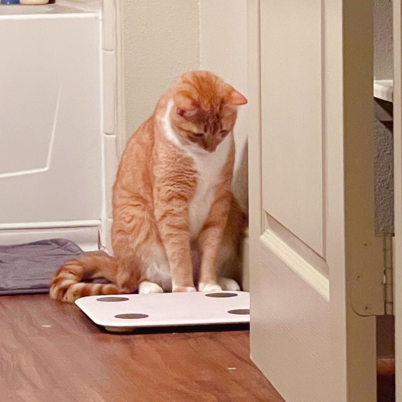 Profile of Yinke Jiang