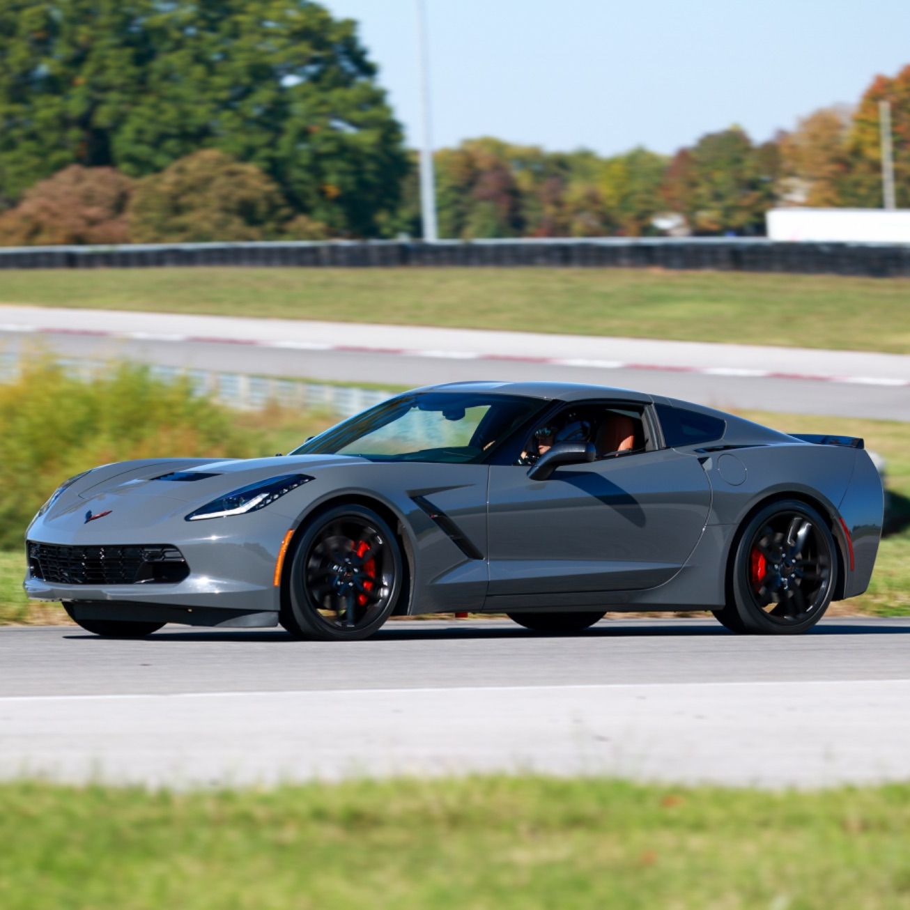 Profile of Angela Stephens