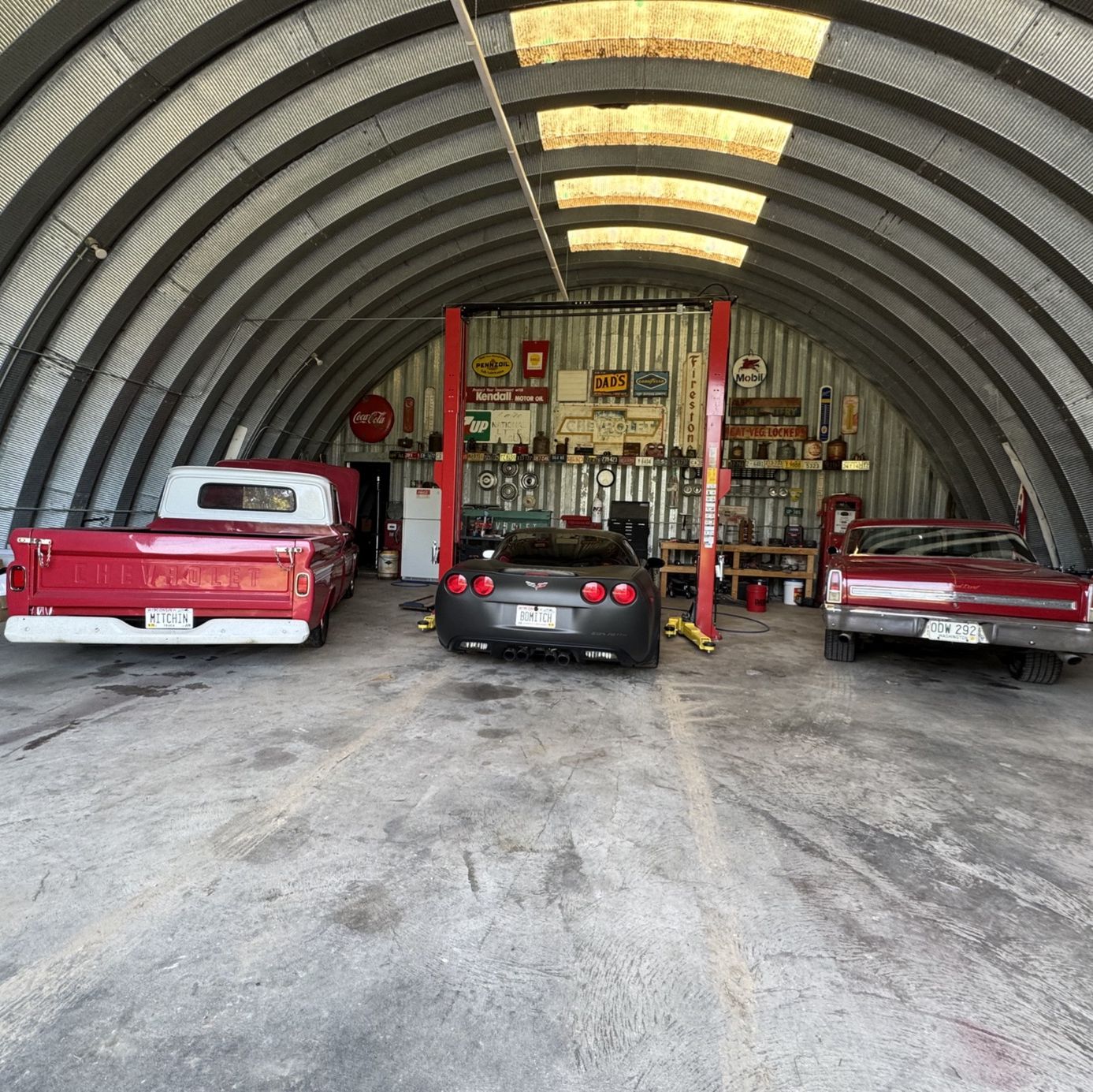 Profile of Nick Mitchell