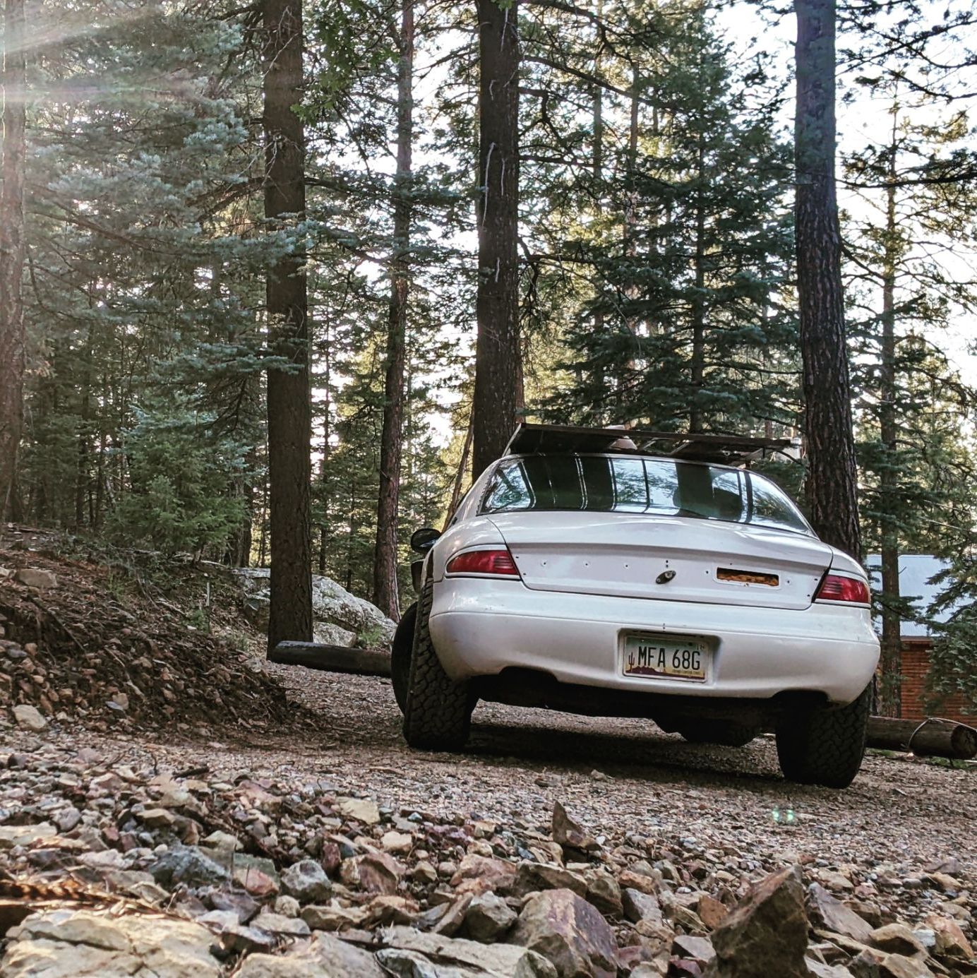 Profile of Louis Dicamillo