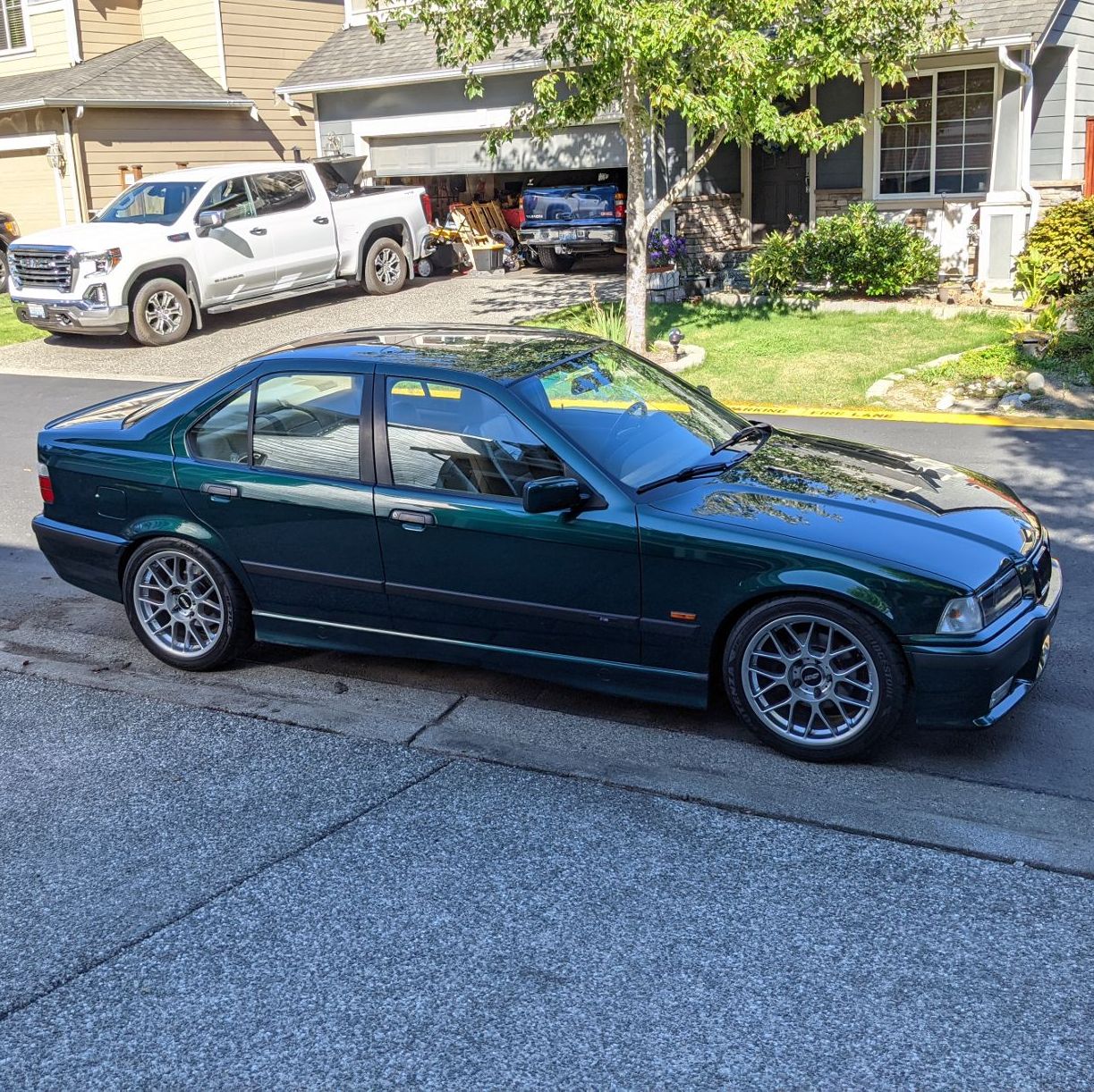 Profile of Kim Lisenko