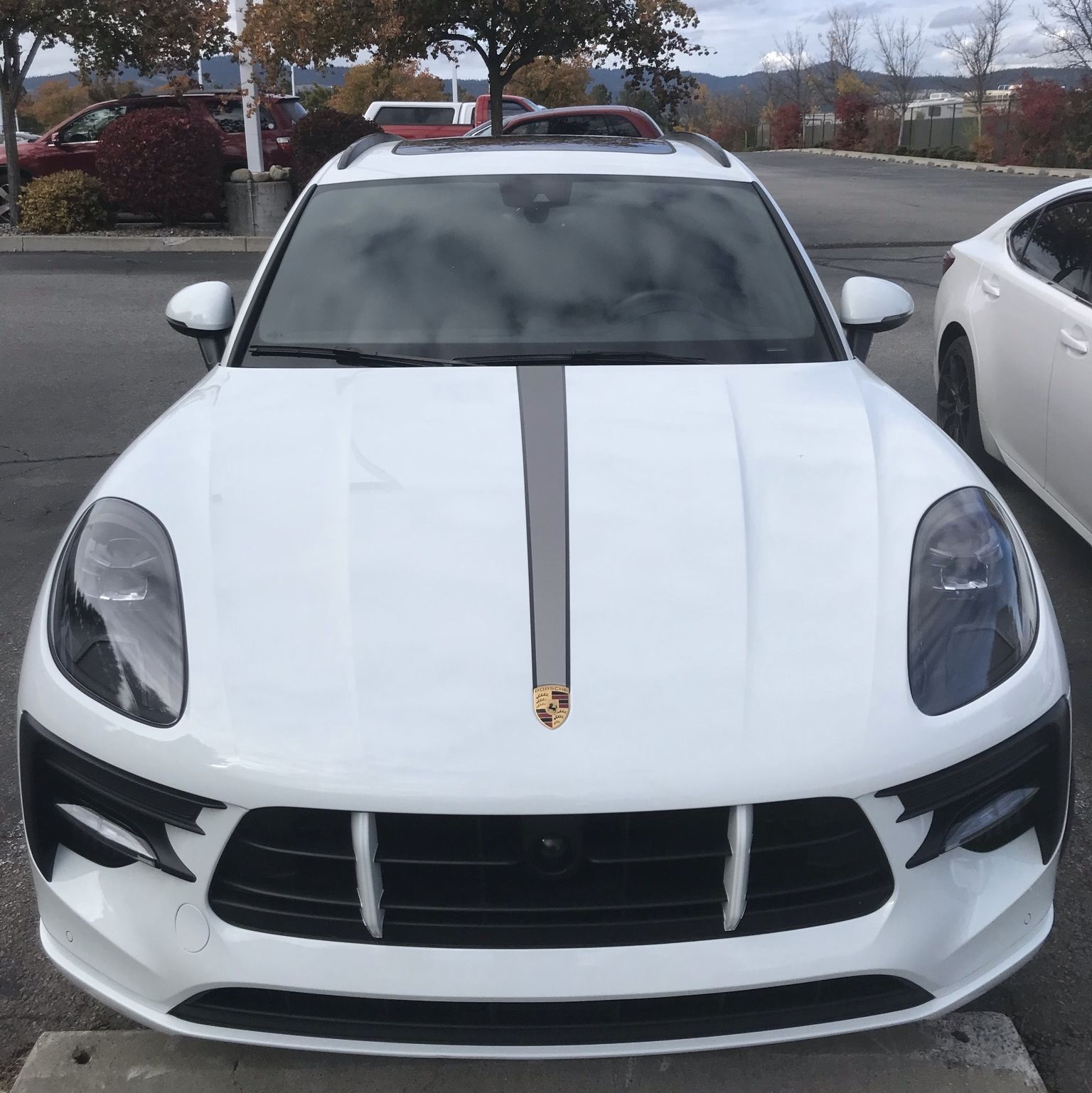 Profile of Sarena Solomon