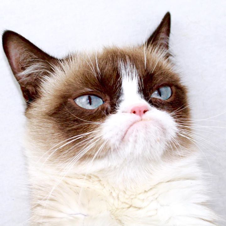 Profile of Jeff Appelbaum