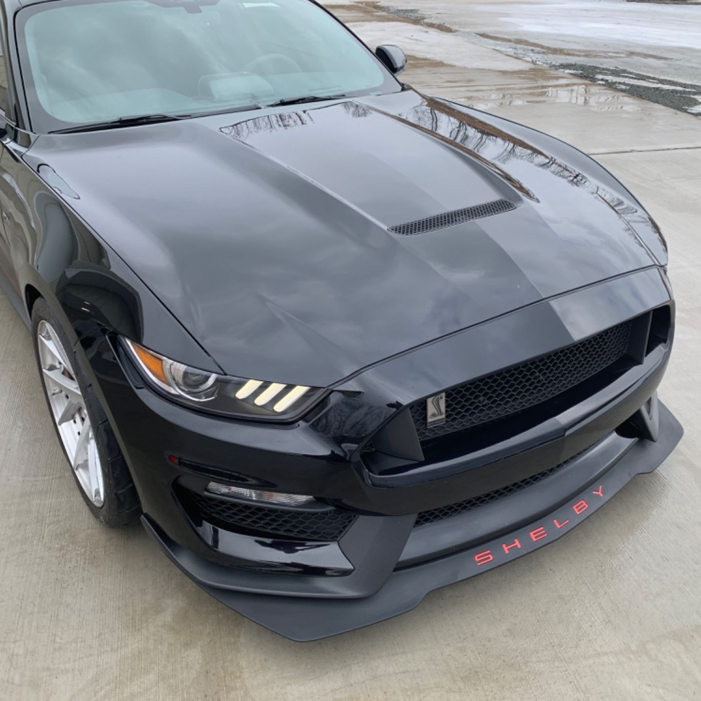 Profile of Bradley McAlla