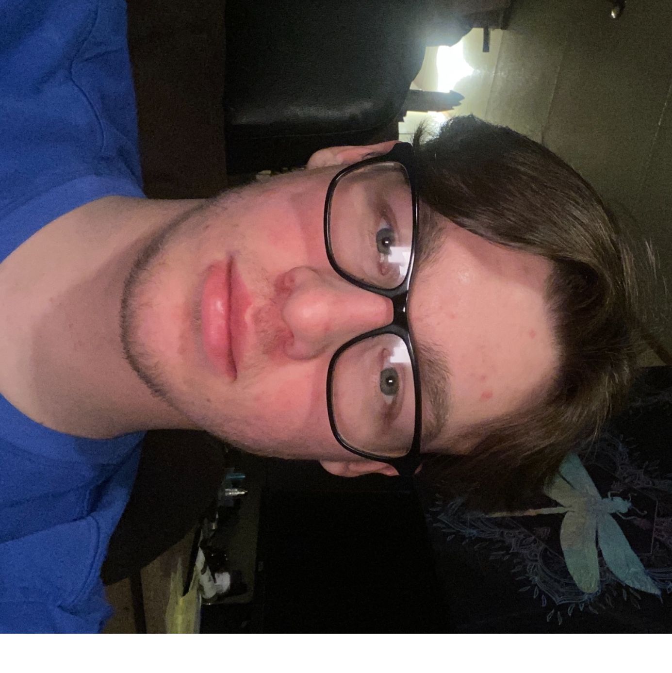Profile of Dylan Feeney