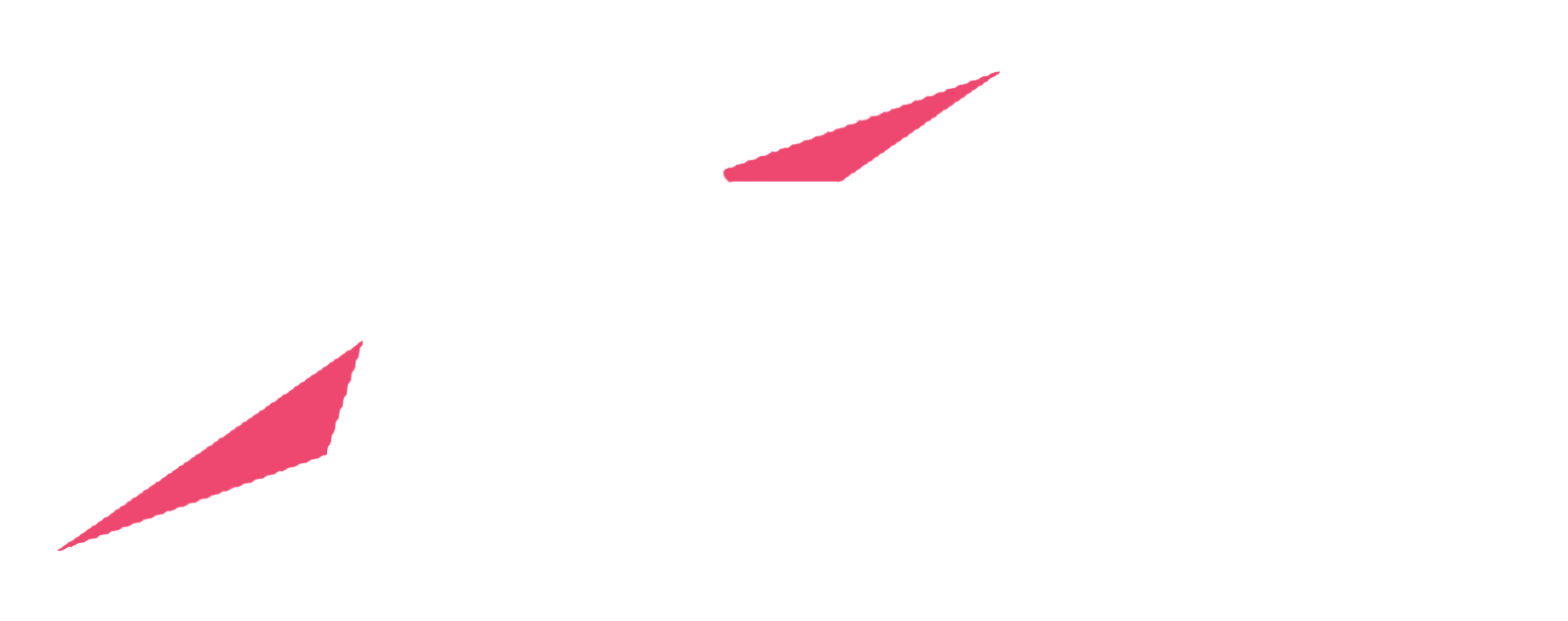 Binge Track Days logo