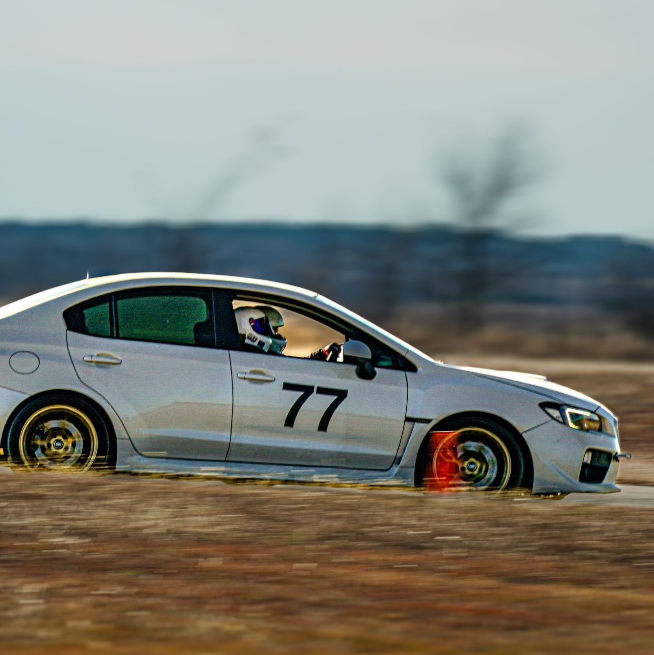 Profile of David Robertson