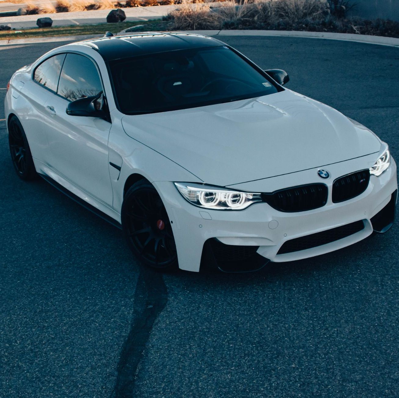 Profile of David Viskov