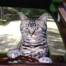 Profile of Sherri Savage