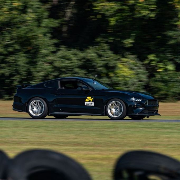 Profile of Collin Rogers