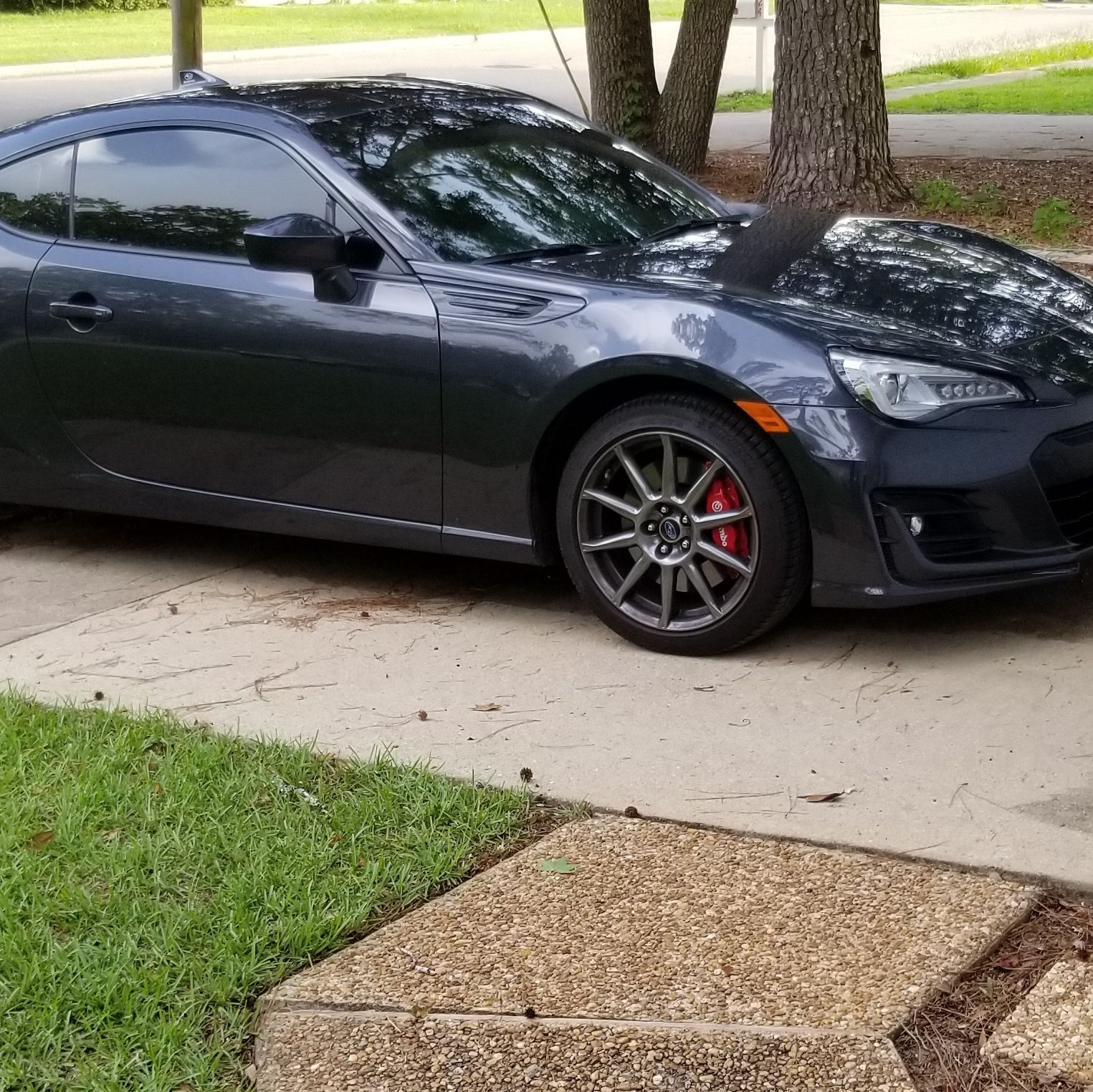 Profile of Matthew Boler