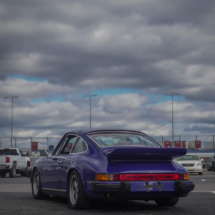 Profile of Payne Mednikow