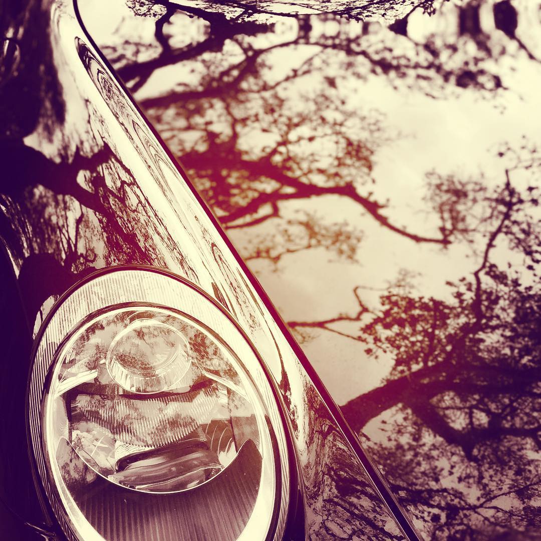 Profile of Eric Fajardo