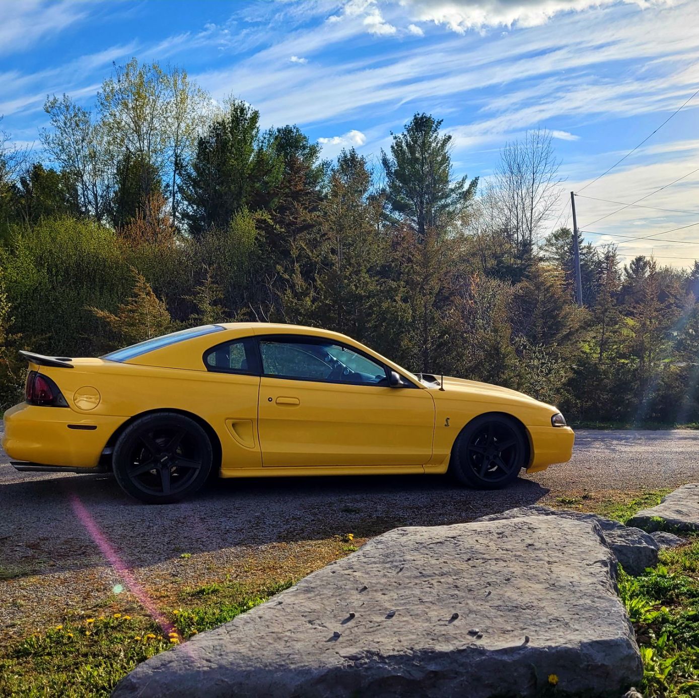 Profile of James Collins