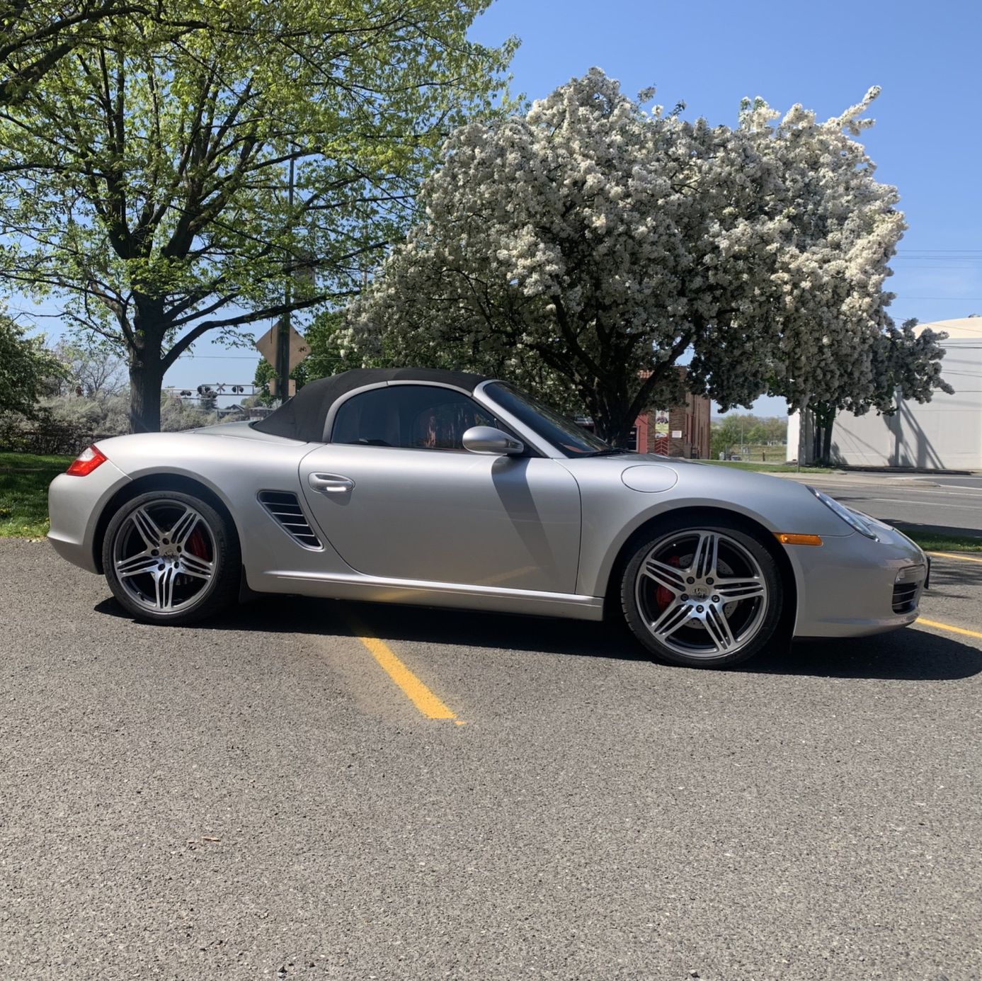 Profile of Chris Cardon