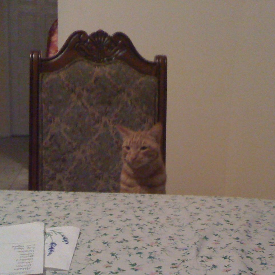 Profile of Jonas Maano