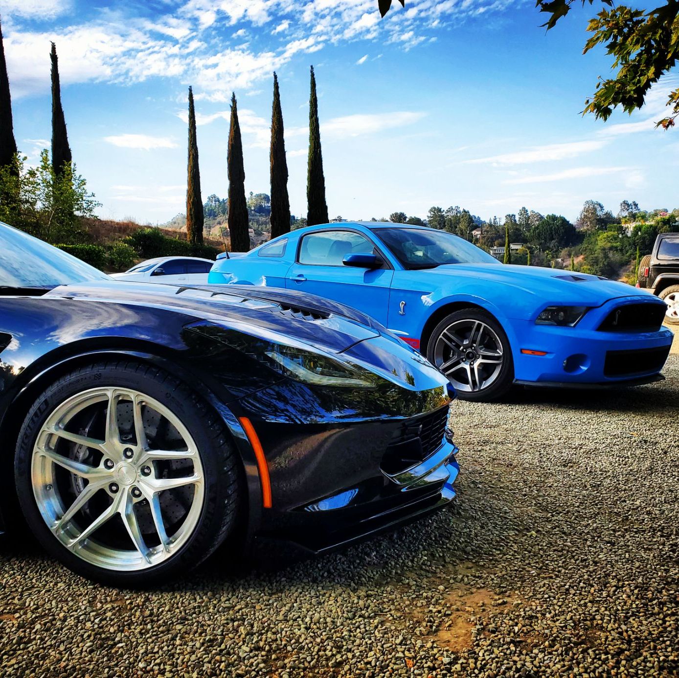 Profile of Adir Hassid