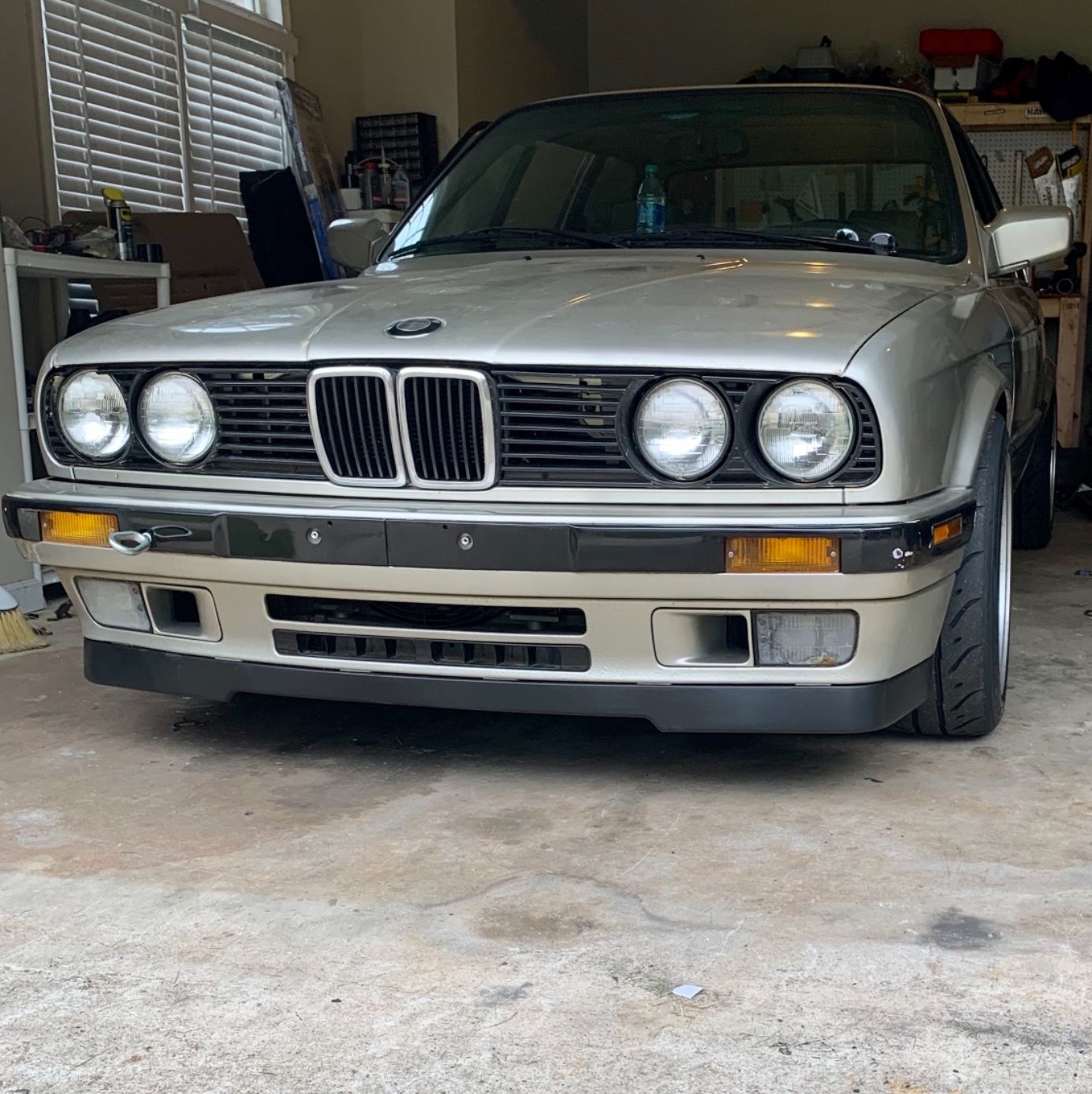 Profile of Aaron Purchell