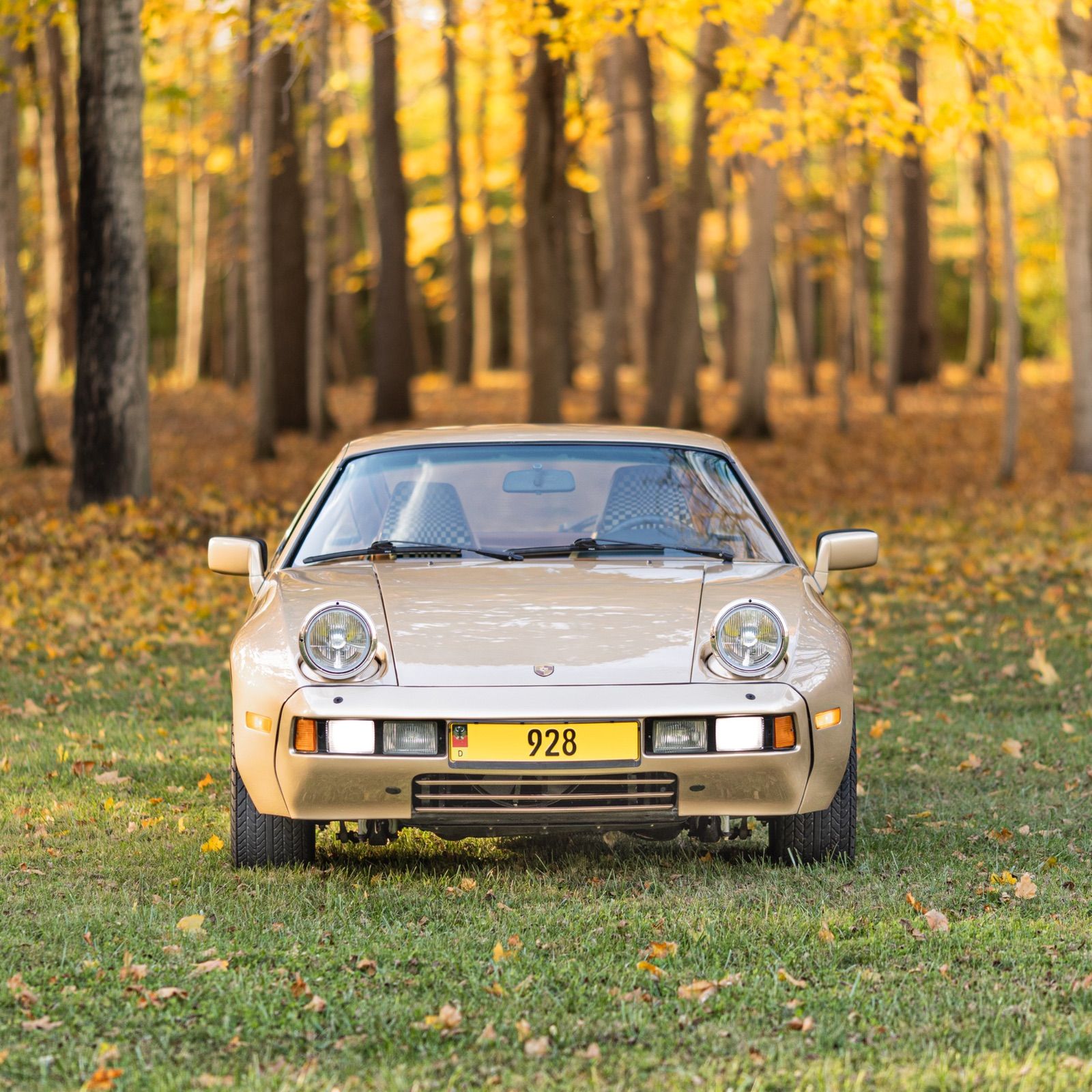 Profile of Ben Holtvogt