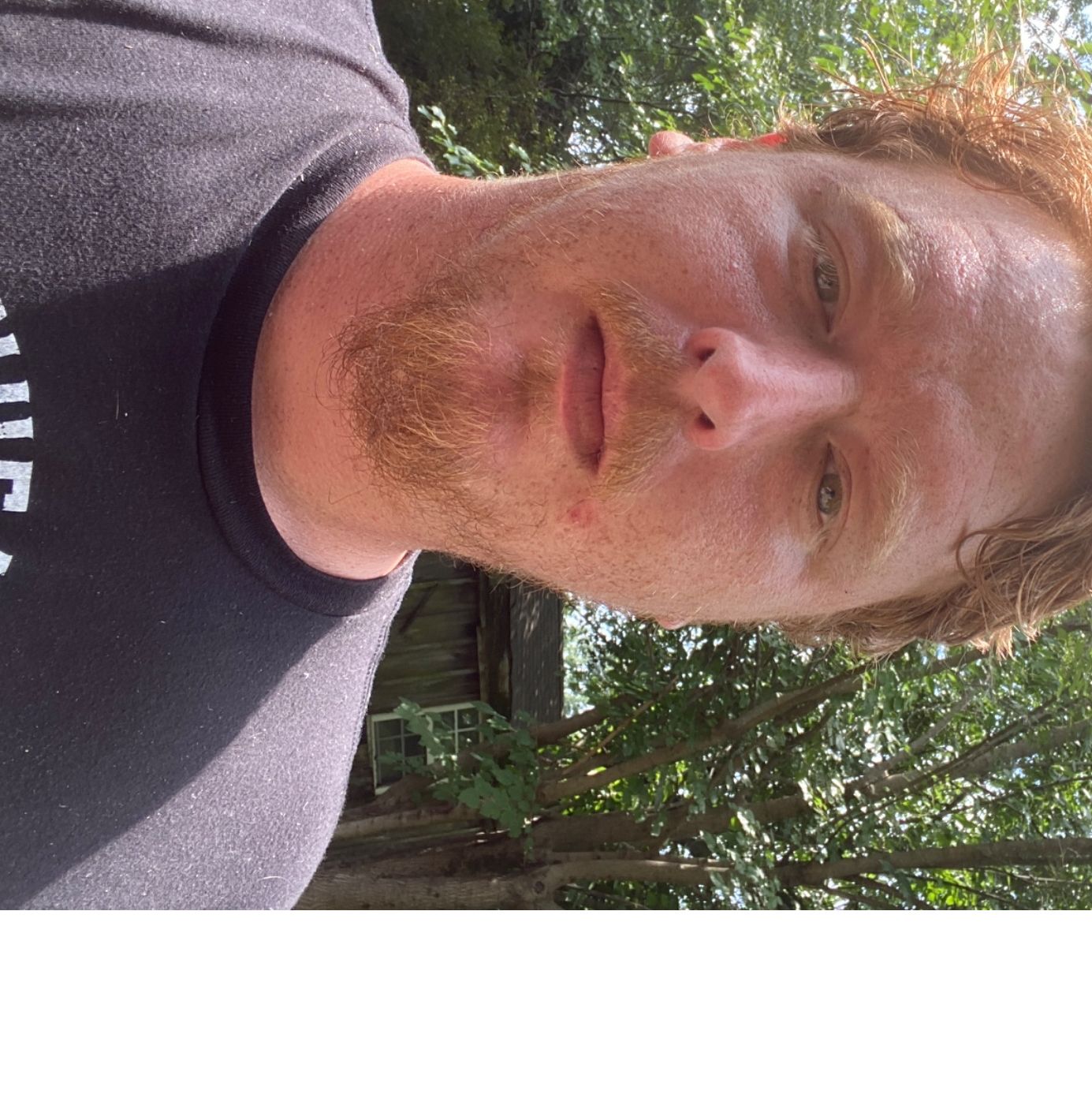 Profile of James Harlan