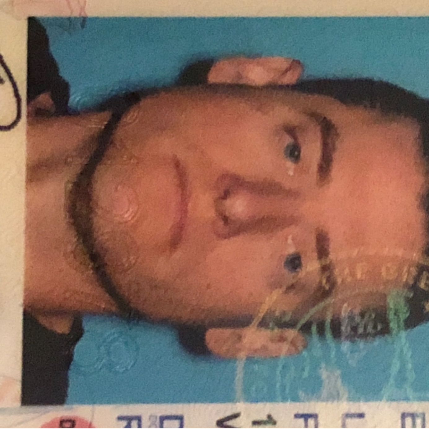 Profile of Donald Conibear