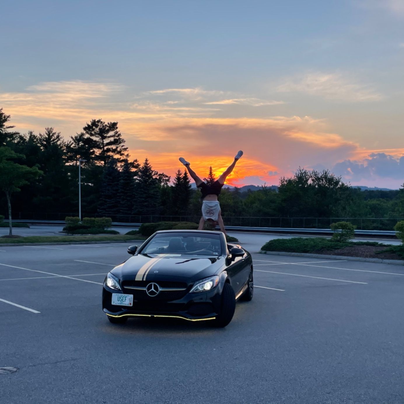 Profile of Youssef Mahgoub