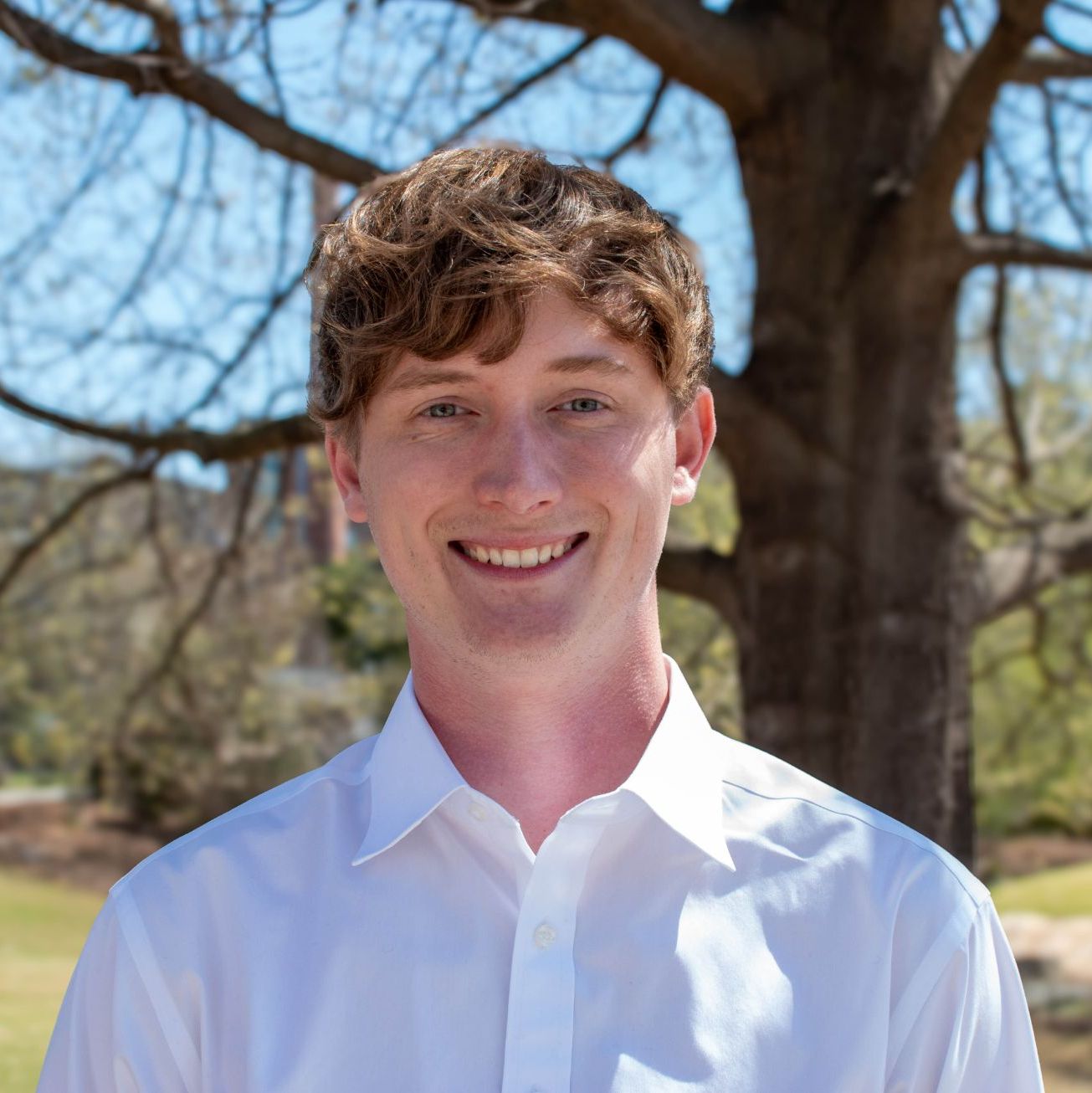 Profile of Jack Hobbs