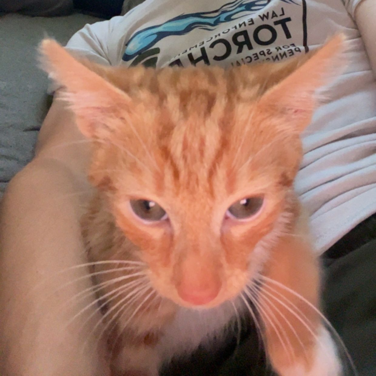 Profile of Evan Stitch