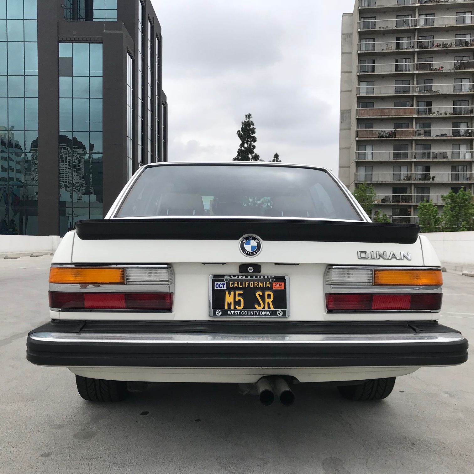 Profile of Tamas Opra