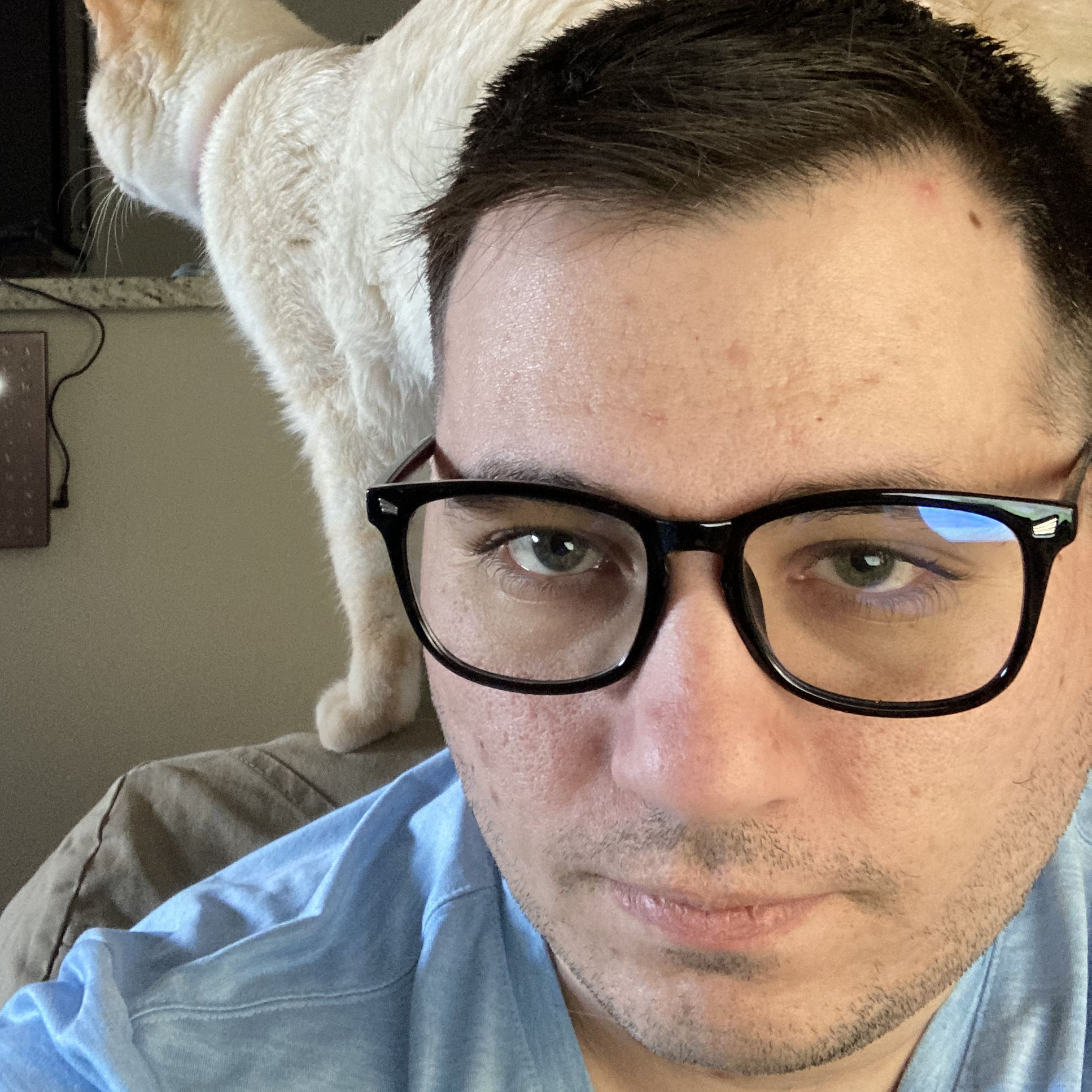 Profile of Stephen Trotta
