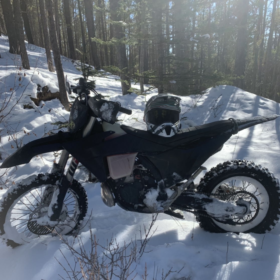 Profile of Tony Fogarty