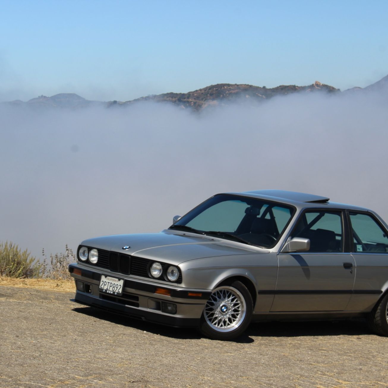 Profile of Dylan Basler