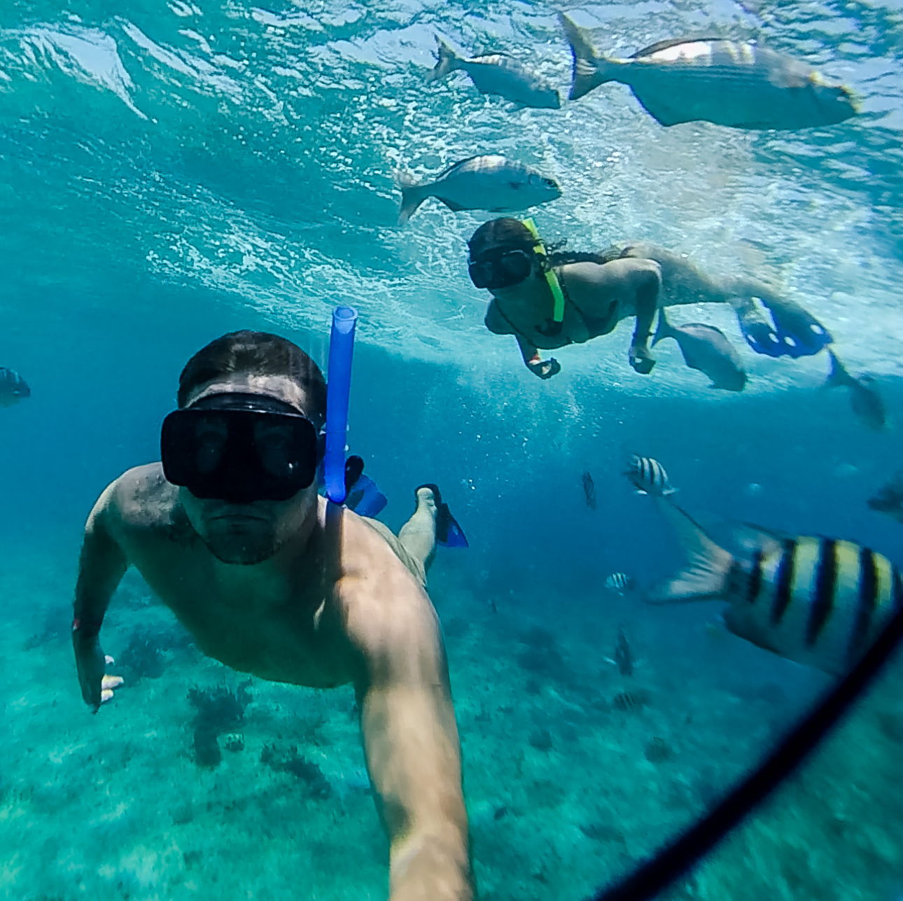 Profile of Dmitriy Antetskiy